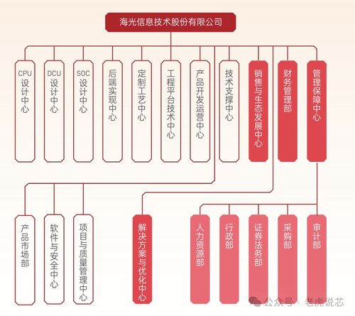 中科海光 國產算力雙擎的技術突破與全球化商業布局